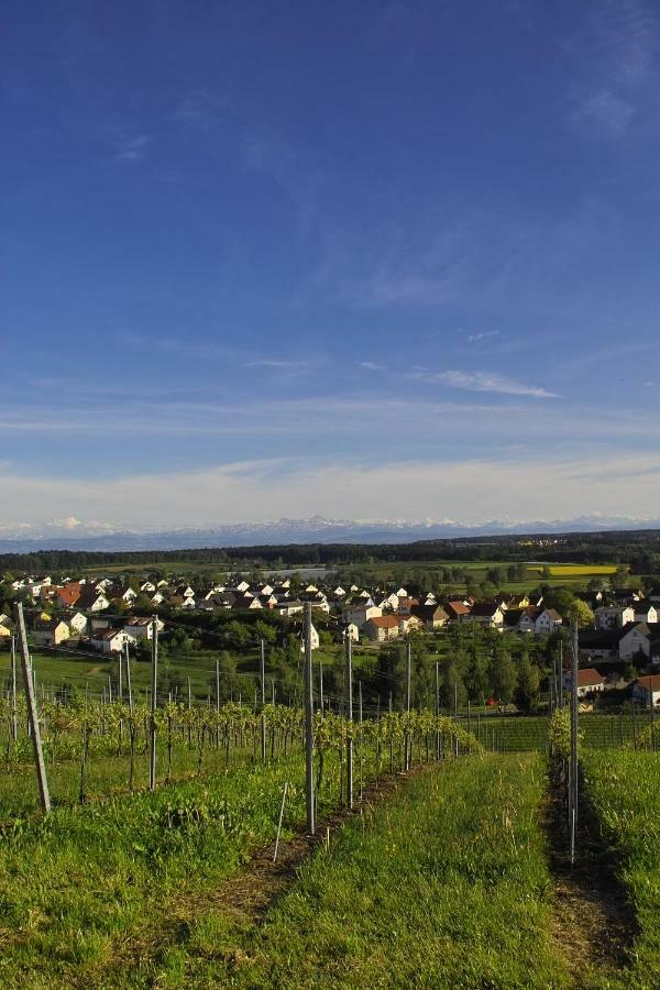 Fewo Schillerstrasse Markdorf Exterior foto
